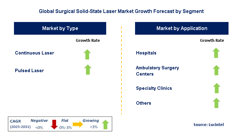Surgical Solid-State Laser Market by Segment