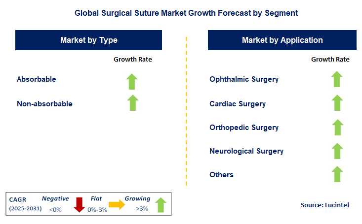 Surgical Suture Market by Segment