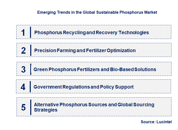 Emerging Trends in the Sustainable Phosphorus Market