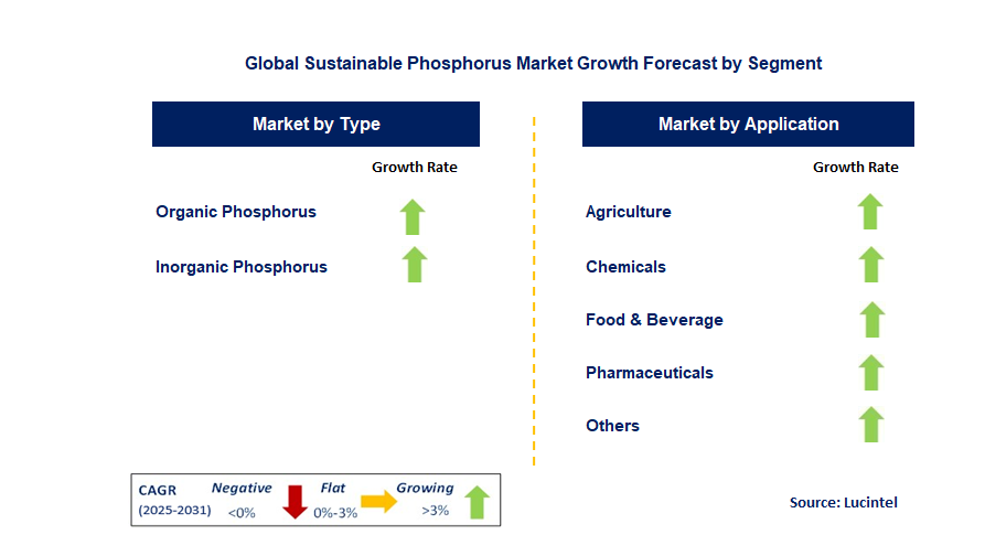 Sustainable Phosphorus Market by Segment