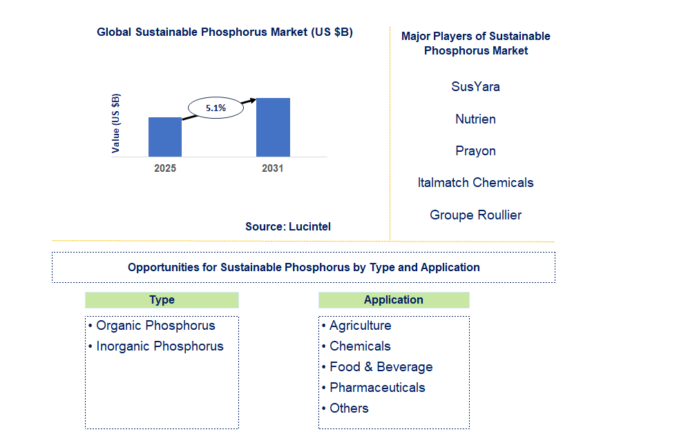 Sustainable Phosphorus Market Trends and Forecast