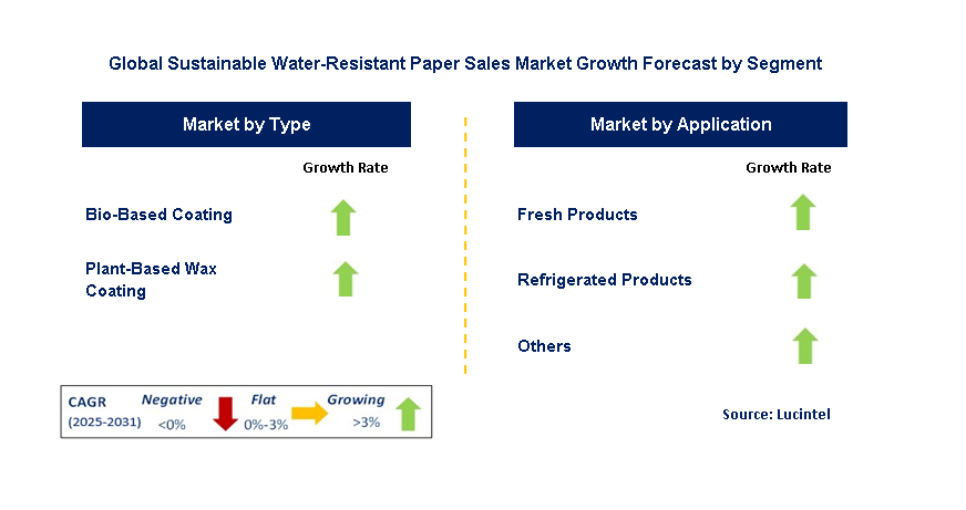 Sustainable Water-Resistant Paper Sales Market by Segment