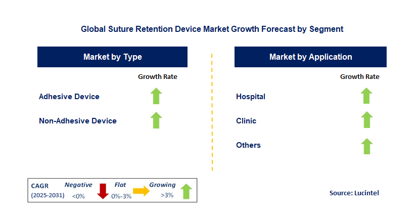 Suture Retention Device Market by Segment