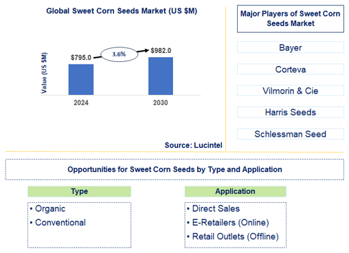 Sweet Corn Seeds Market Trends and Forecast