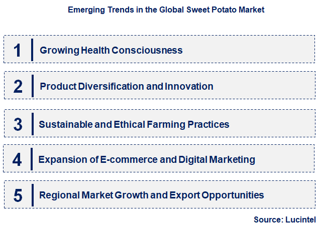 Emerging Trends in the Sweet Potato Market
