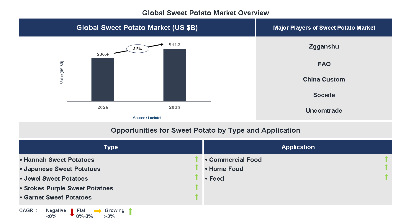 Sweet Potato Market Trends and Forecast