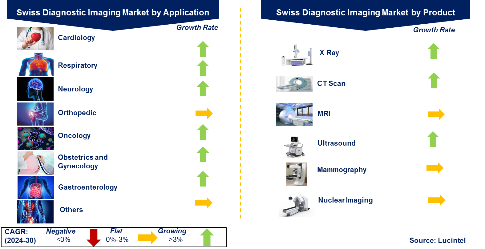Swiss Diagnostic Imaging Market by Segments