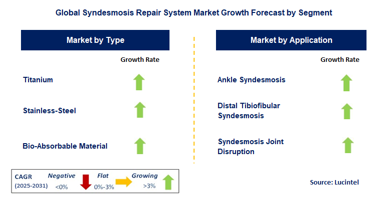 Syndesmosis Repair System Market by Segment
