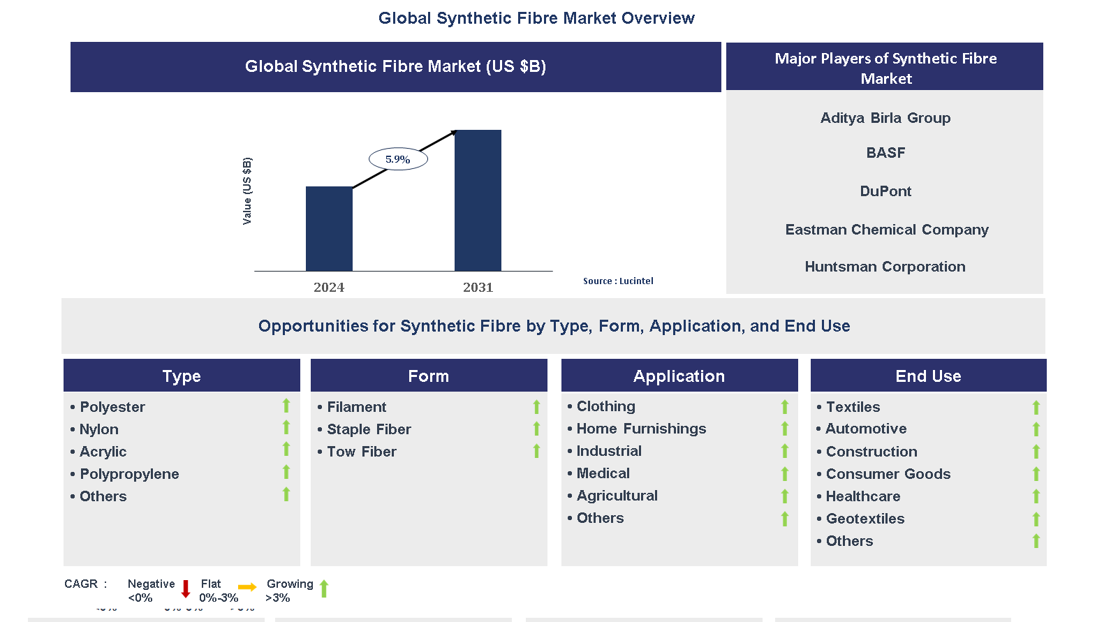 Synthetic Fibre Market Trends and Forecast