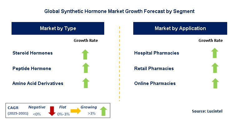 Synthetic Hormone Market by Segment