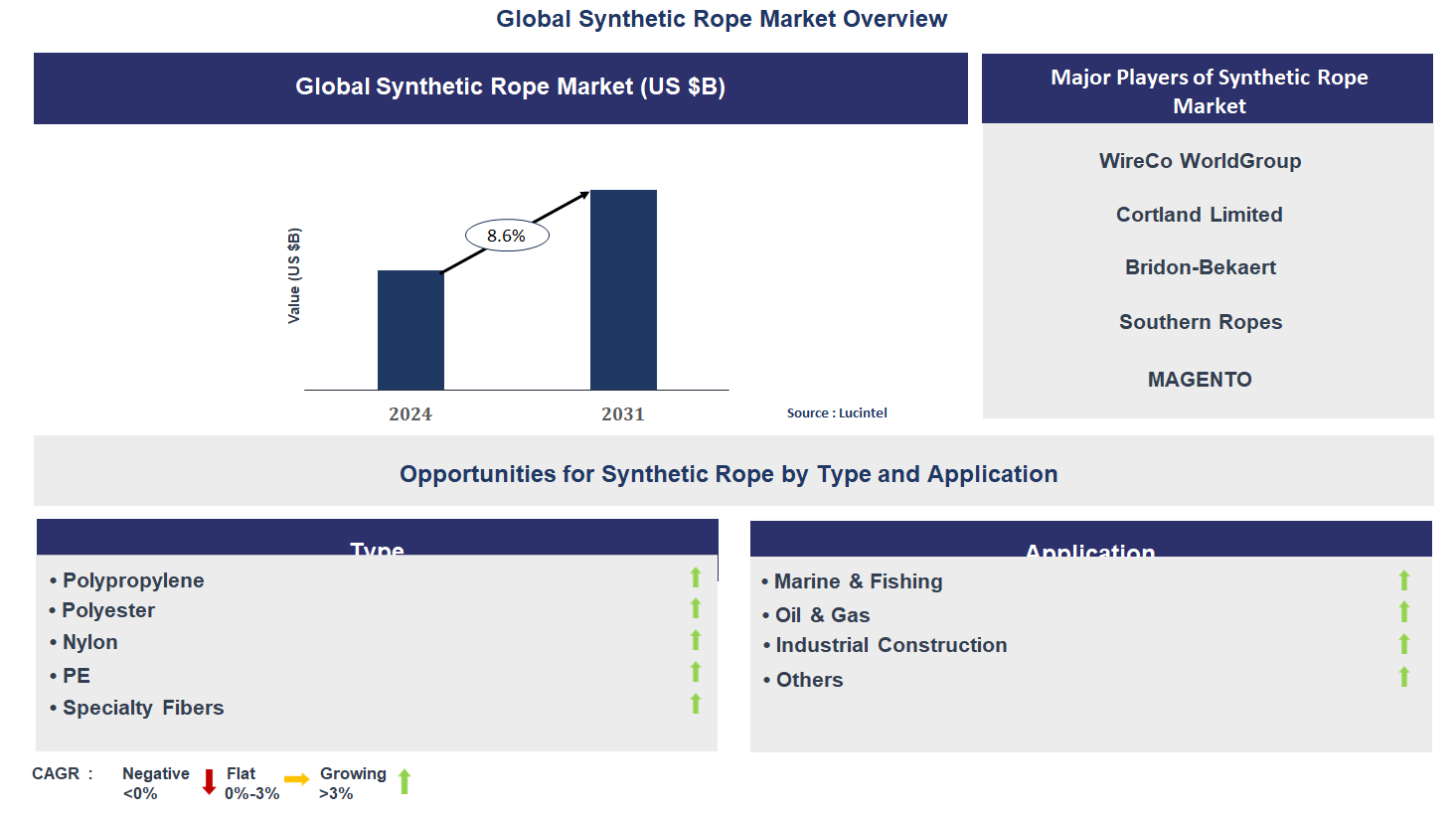 Synthetic Rope Market Trends and Forecast