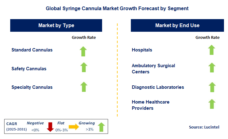 Syringe Cannula Market by Segment