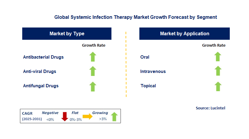Systemic Infection Therapy Market by Segment
