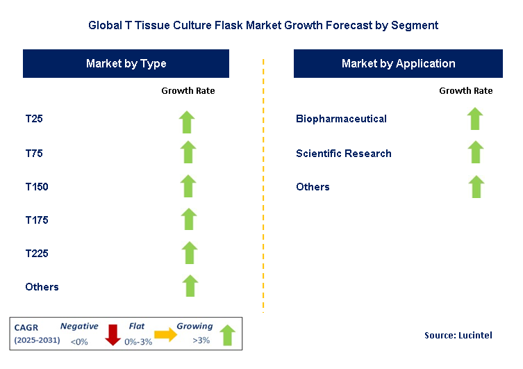 T Tissue Culture Flask Market by Segment