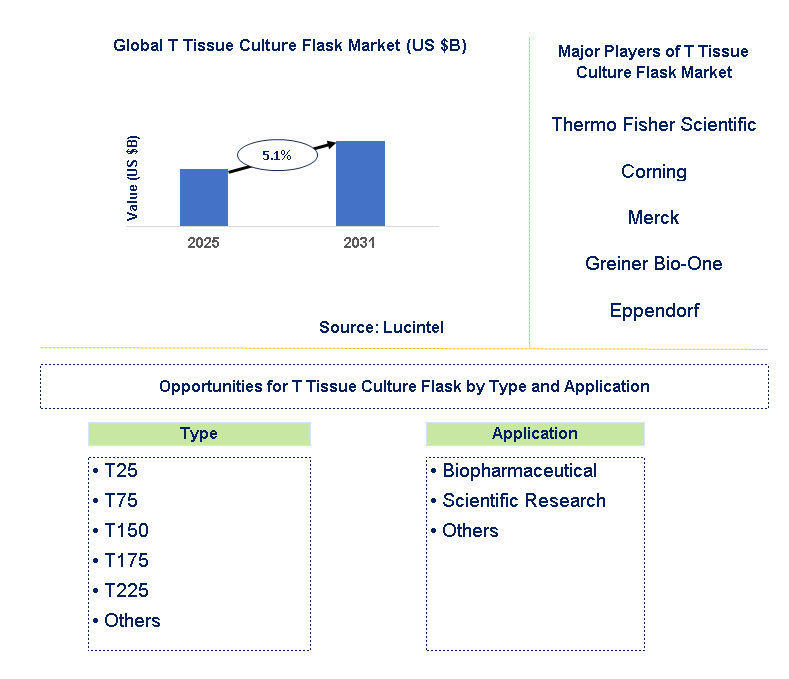 T Tissue Culture Flask Market Trends and Forecast