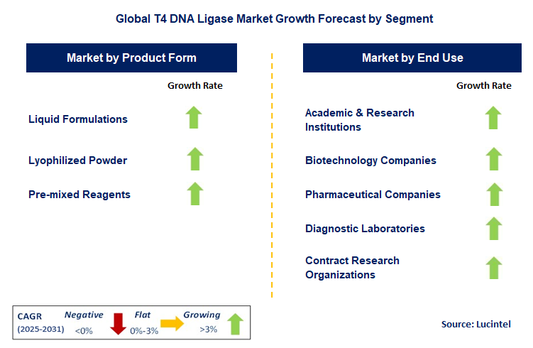 T4 DNA Ligase Market by Segment