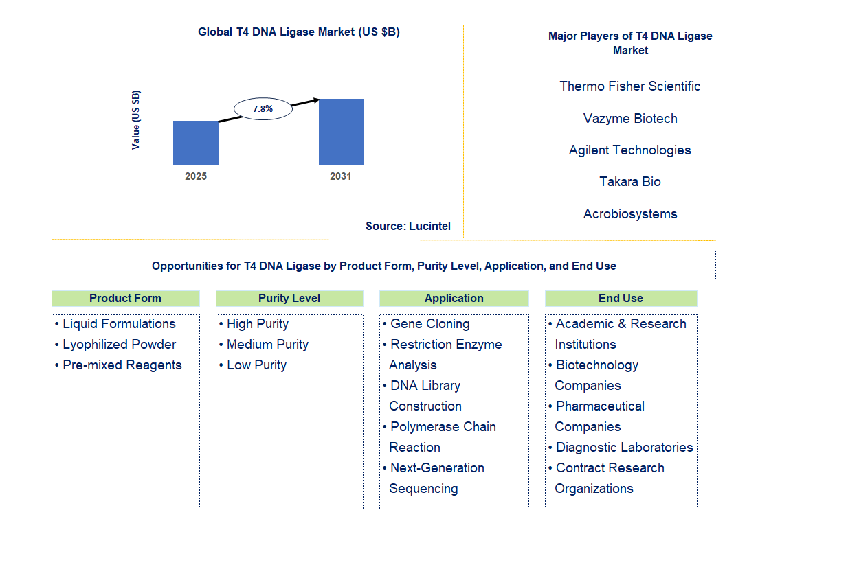 T4 DNA Ligase Market Trends and Forecast