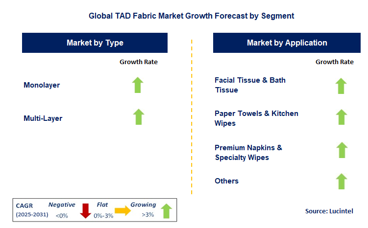 TAD Fabric Market by Segment