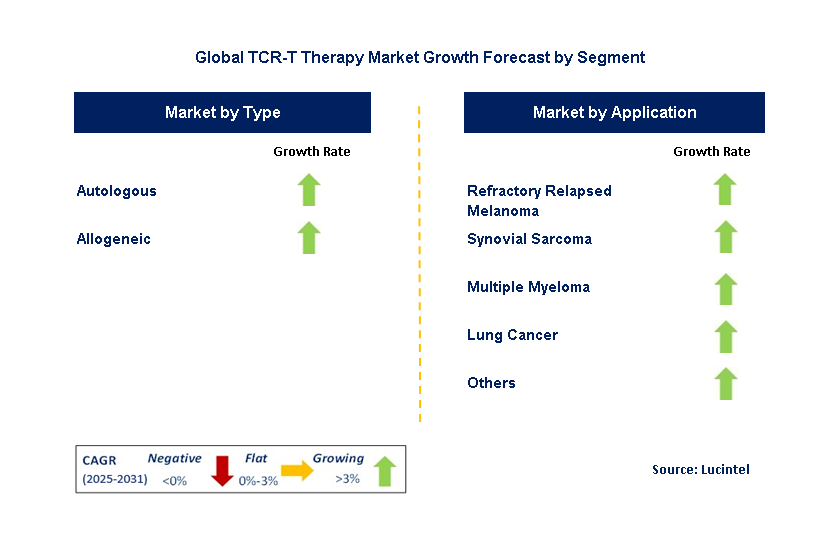 TCR-T Therapy Market by Segment