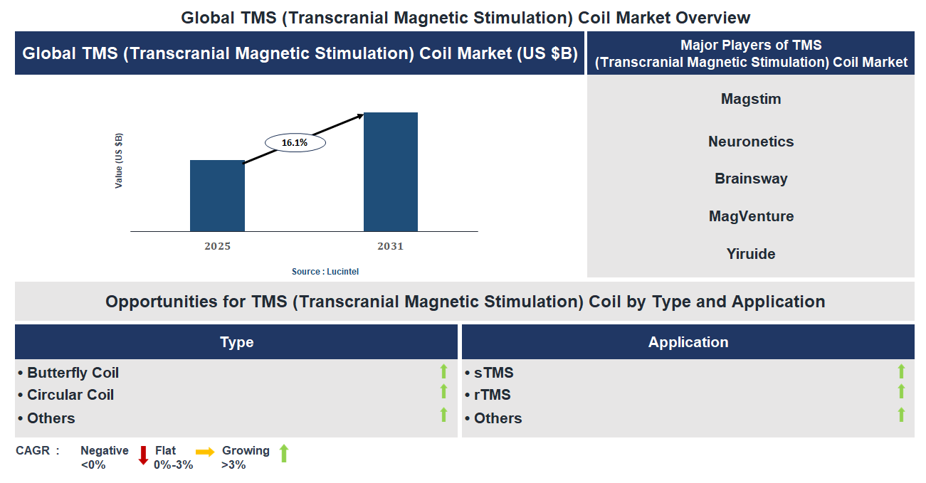 TMS (Transcranial Magnetic Stimulation) Coil Market Trends and Forecast