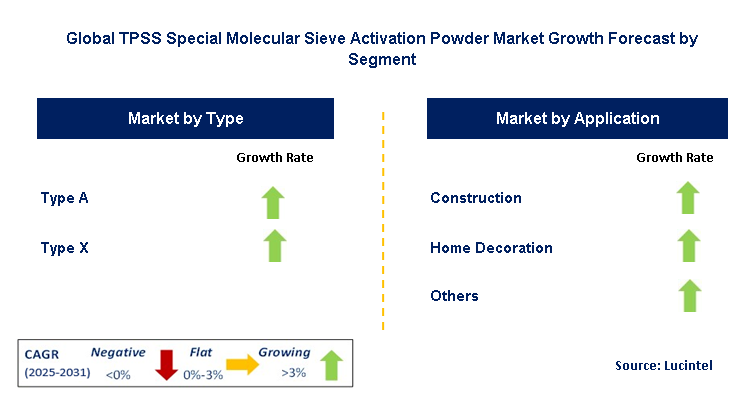 TPSS Special Molecular Sieve Activation Powder Market by Segment