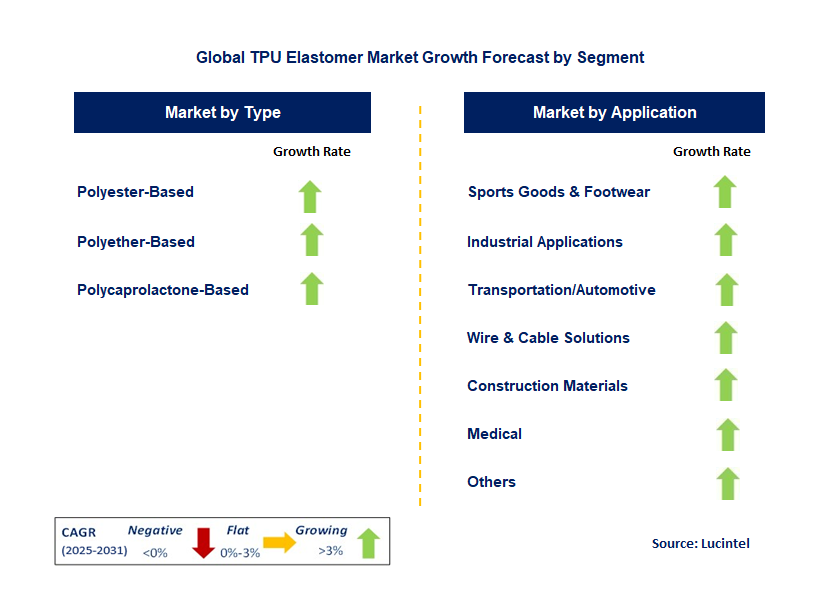 TPU Elastomer Market by Segment
