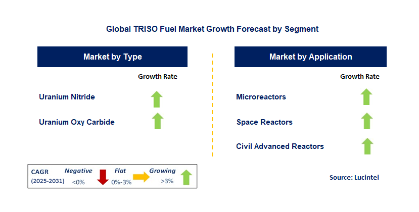 TRISO Fuel Market by Segment