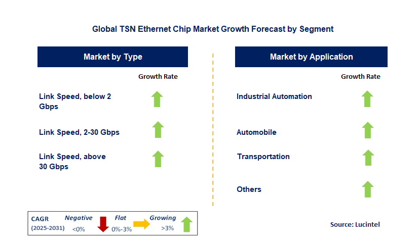 TSN Ethernet Chip Market by Segment
