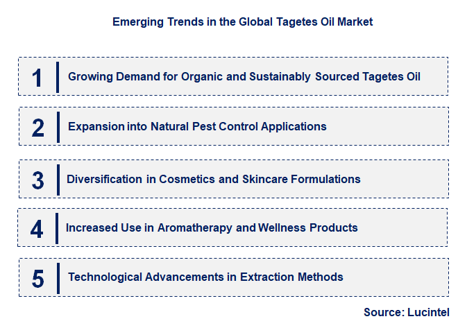 Emerging Trends in the Tagetes Oil Market