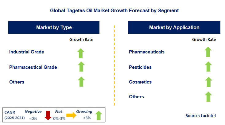 Tagetes Oil Market by Segment