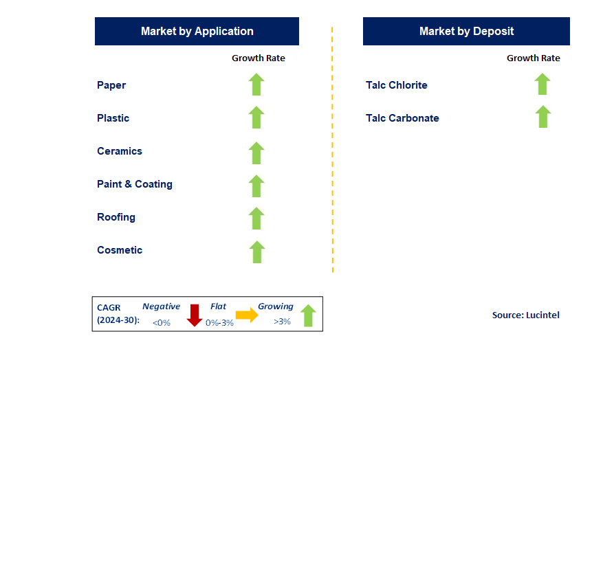 Talc Market by Segments