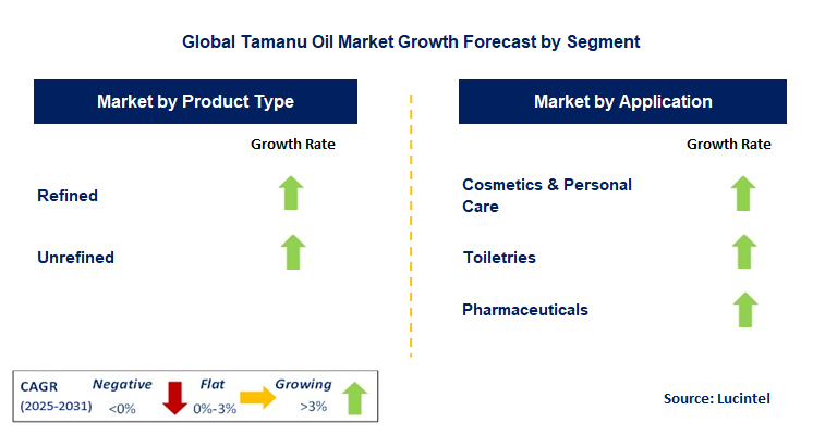 Tamanu Oil Market by Segment