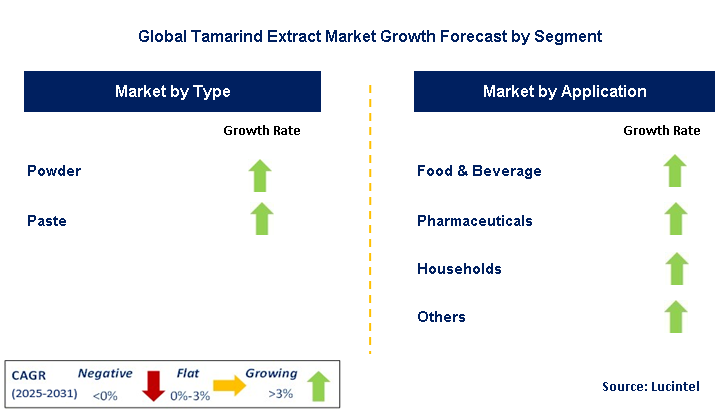 Tamarind Extract Market by Segment