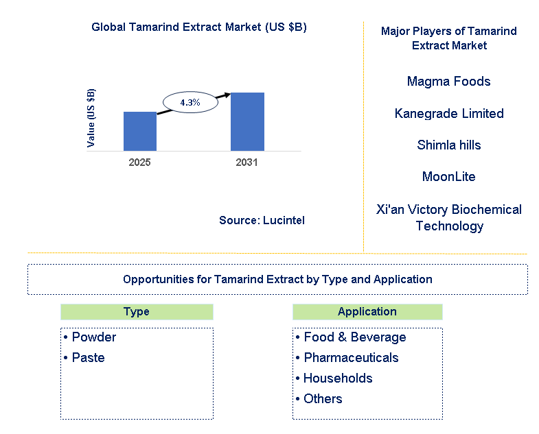 Tamarind Extract Market Trends and Forecast