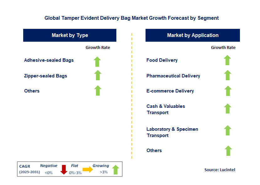 Tamper Evident Delivery Bag Market by Segment