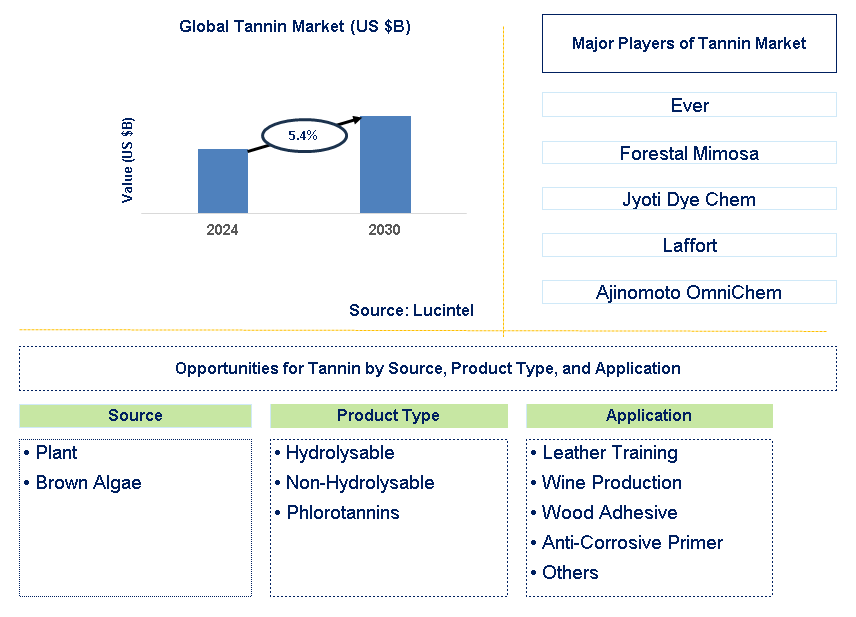 Tannin Trends and Forecast