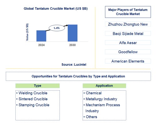 Tantalum Crucible Trends and Forecast