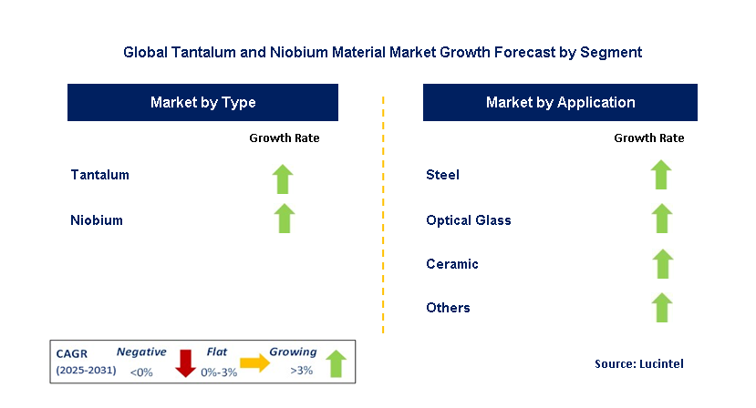 Tantalum and Niobium Material Market by Segment
