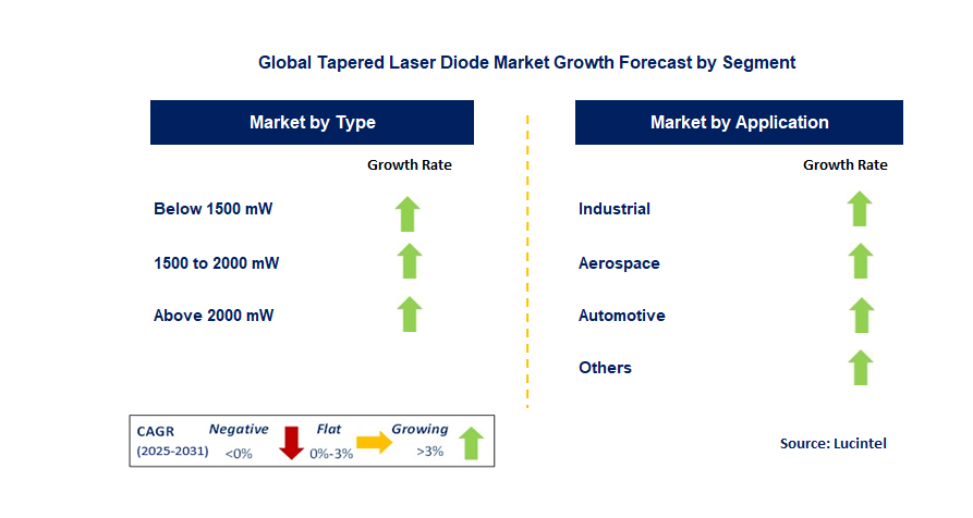 Tapered Laser Diode Market by Segment