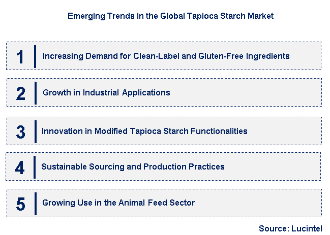 Emerging Trends in the Tapioca Starch Market