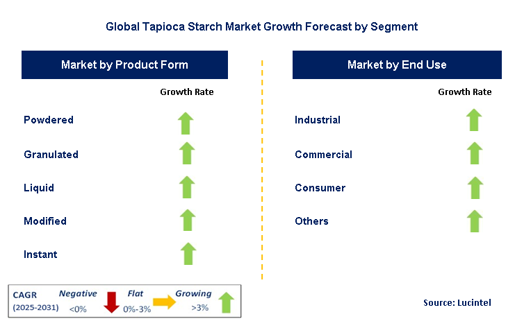 Tapioca Starch Market by Segment