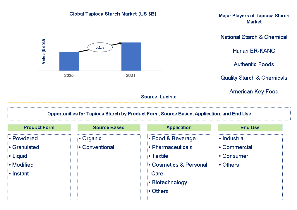 Tapioca Starch Market Trends and Forecast