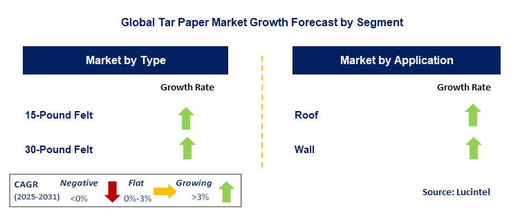 Tar Paper Market by Segment