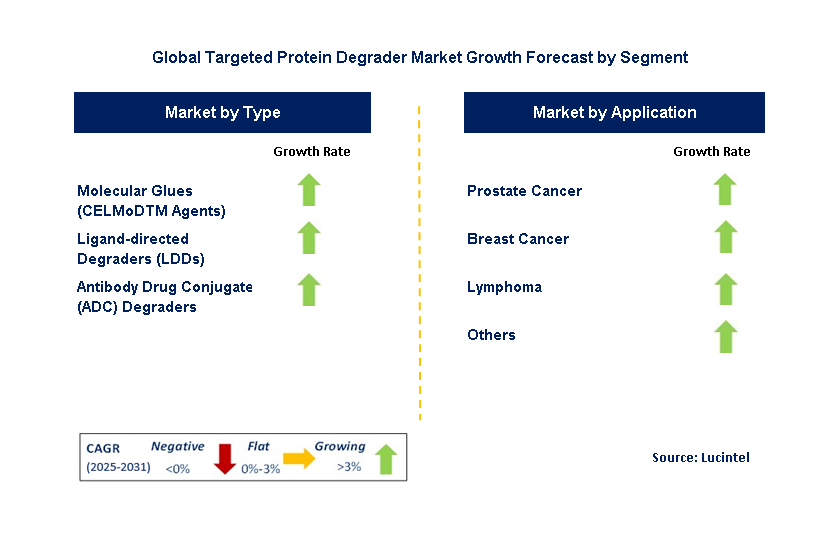 Targeted Protein Degrader Market by Segment