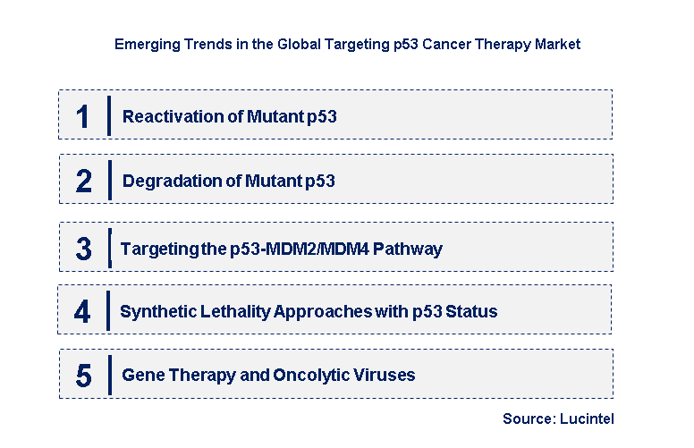 Emerging Trends in the Targeting p53 Cancer Therapy Market