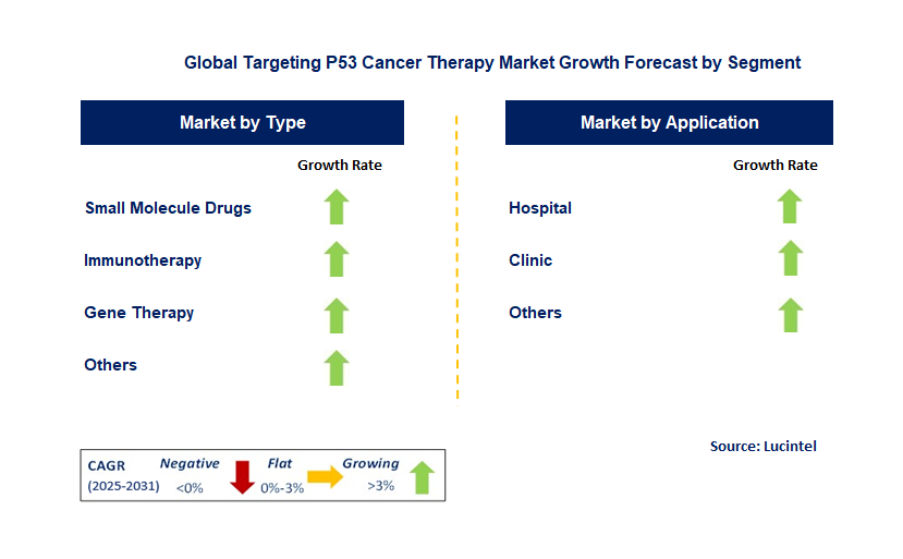 Targeting p53 Cancer Therapy Market by Segment