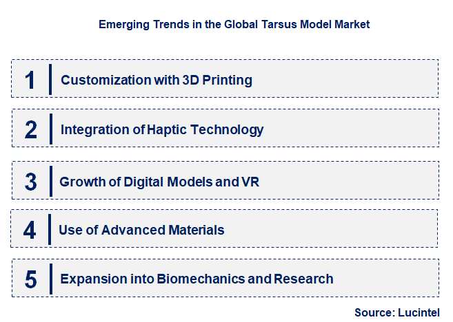 Emerging Trends in the Tarsus Model Market