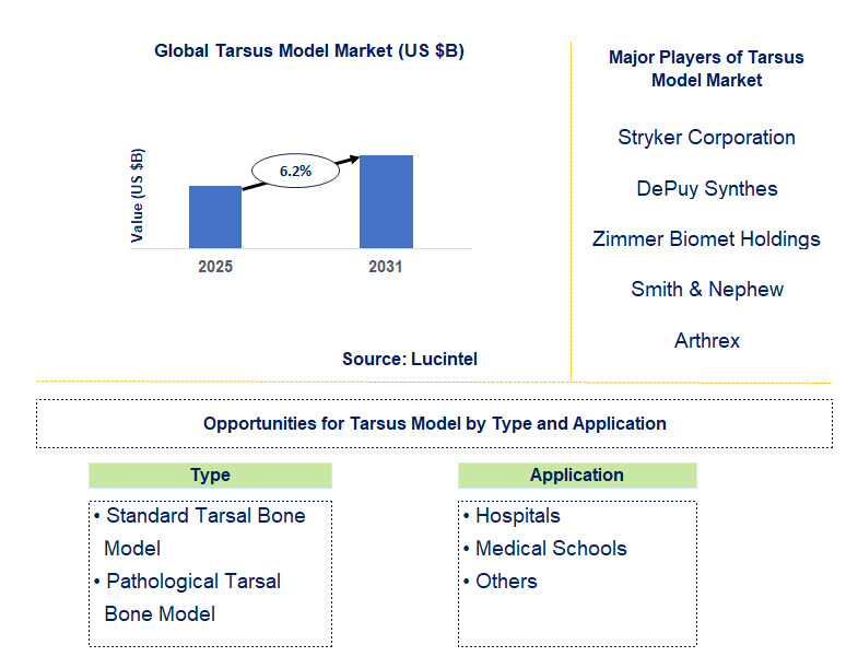 Tarsus Model Market Trends and Forecast