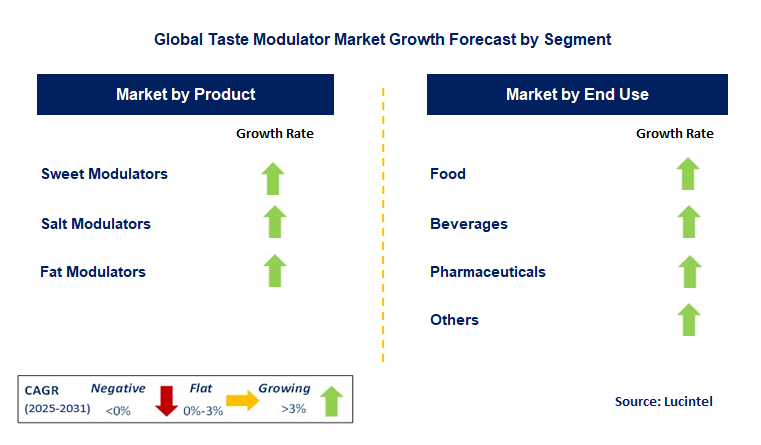 Taste Modulator Market by Segment
