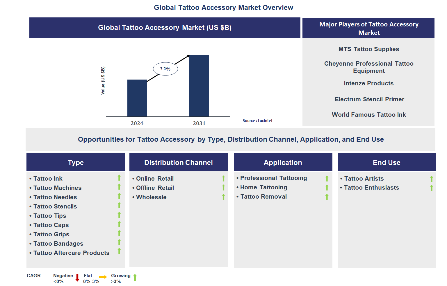 Tattoo Accessory Market Trends and Forecast